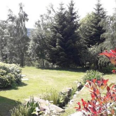Gite De Moyenne Montagne Anould 외부 사진
