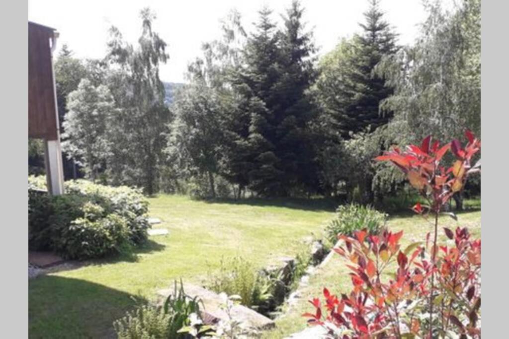 Gite De Moyenne Montagne Anould 외부 사진